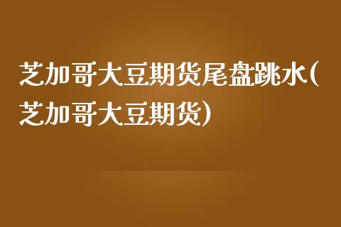 芝加哥大豆期货尾盘跳水(芝加哥大豆期货)_https://www.xmqjcw.com_期货投资_第1张