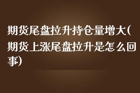 期货尾盘拉升持仓量增大(期货上涨尾盘拉升是怎么回事)_https://www.xmqjcw.com_期货投资_第1张