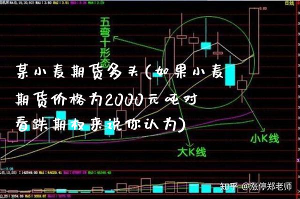 某小麦期货多头(如果小麦期货价格为2000元吨对看跌期权来说你认为)_https://www.xmqjcw.com_期货百科_第1张