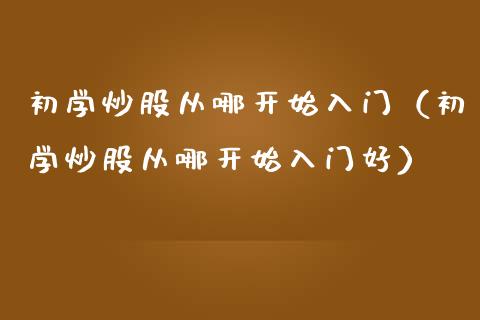 初学炒股从哪开始入门（初学炒股从哪开始入门好）_https://www.xmqjcw.com_期货投资_第1张