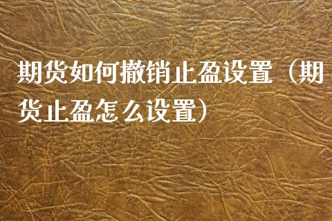 期货如何撤销止盈设置（期货止盈怎么设置）_https://www.xmqjcw.com_期货投资_第1张