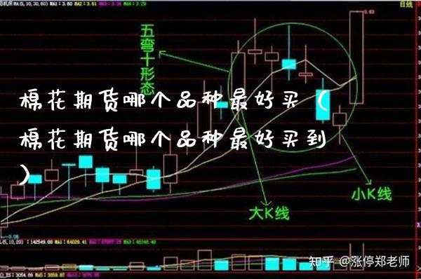 棉花期货哪个品种最好买（棉花期货哪个品种最好买到）_https://www.xmqjcw.com_期货投资_第1张