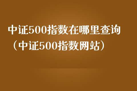 中证500指数在哪里查询（中证500指数网站）_https://www.xmqjcw.com_期货投资_第1张
