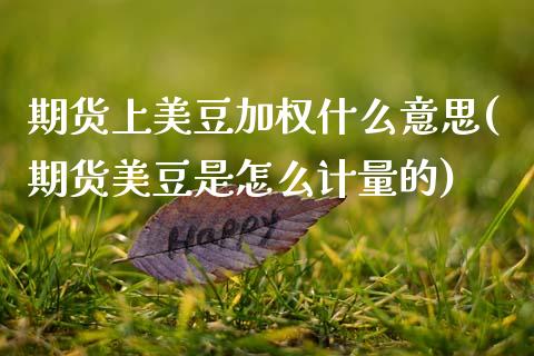 期货上美豆加权什么意思(期货美豆是怎么计量的)_https://www.xmqjcw.com_期货投资_第1张