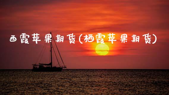 西霞苹果期货(栖霞苹果期货)_https://www.xmqjcw.com_期货行情_第1张