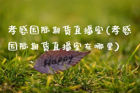 孝感国际期货直播室(孝感国际期货直播室在哪里)_https://www.xmqjcw.com_期货百科_第1张