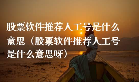 股票软件推荐人工号是什么意思（股票软件推荐人工号是什么意思呀）_https://www.xmqjcw.com_股票投资_第1张