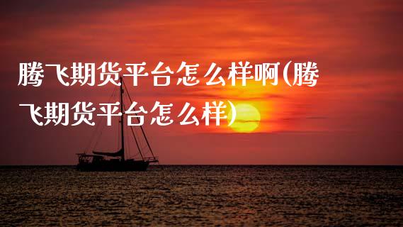 腾飞期货平台怎么样啊(腾飞期货平台怎么样)_https://www.xmqjcw.com_期货投资_第1张