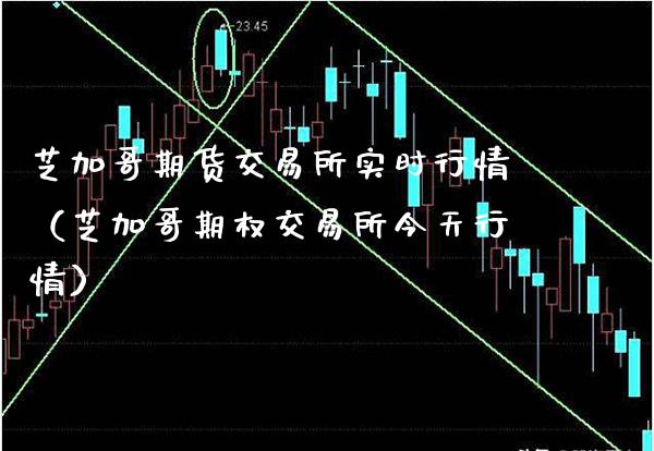 芝加哥期货交易所实时行情（芝加哥期权交易所今天行情）_https://www.xmqjcw.com_期货直播室_第1张