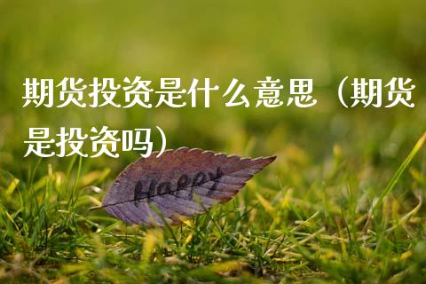 期货投资是什么意思（期货是投资吗）_https://www.xmqjcw.com_期货开户_第1张