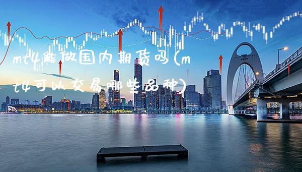 mt4能做国内期货吗(mt4可以交易哪些品种)_https://www.xmqjcw.com_期货开户_第1张