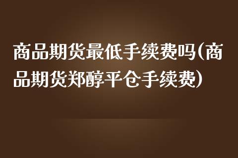 商品期货最低手续费吗(商品期货郑醇平仓手续费)_https://www.xmqjcw.com_期货百科_第1张