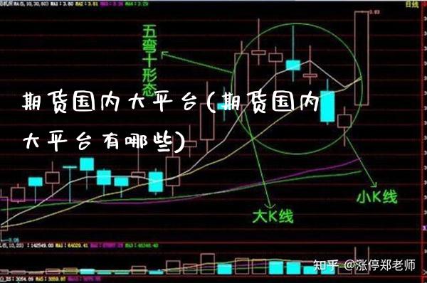期货国内大平台(期货国内大平台有哪些)_https://www.xmqjcw.com_期货行情_第1张