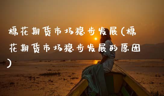 棉花期货市场稳步发展(棉花期货市场稳步发展的原因)_https://www.xmqjcw.com_期货开户_第1张