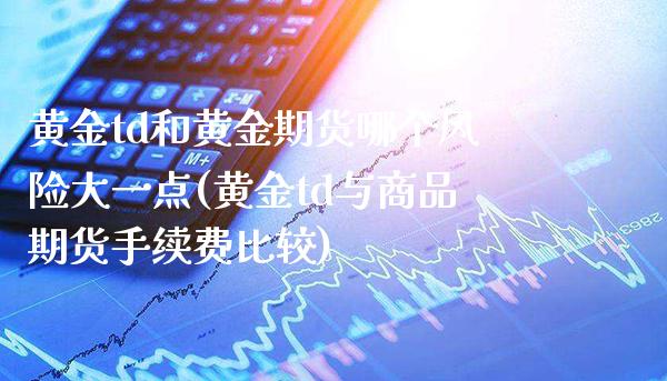 黄金td和黄金期货哪个风险大一点(黄金td与商品期货手续费比较)_https://www.xmqjcw.com_期货开户_第1张