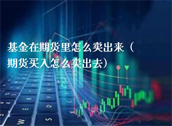 基金在期货里怎么卖出来（期货买入怎么卖出去）_https://www.xmqjcw.com_期货行情_第1张