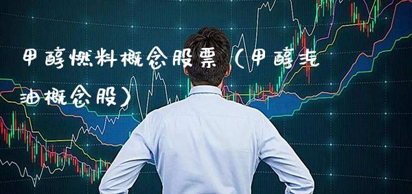 甲醇燃料概念股票（甲醇汽油概念股）_https://www.xmqjcw.com_股票投资_第1张
