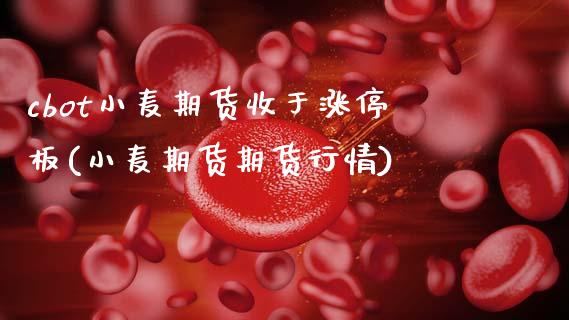 cbot小麦期货收于涨停板(小麦期货期货行情)_https://www.xmqjcw.com_期货百科_第1张