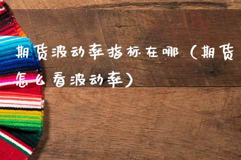 期货波动率指标在哪（期货怎么看波动率）_https://www.xmqjcw.com_期货投资_第1张