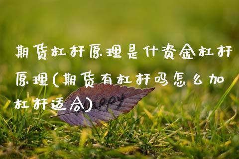 期货杠杆原理是什资金杠杆原理(期货有杠杆吗怎么加杠杆适合)_https://www.xmqjcw.com_期货百科_第1张