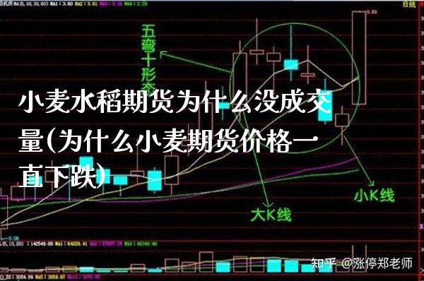 小麦水稻期货为什么没成交量(为什么小麦期货价格一直下跌)_期货百科_第1张_秦聚理财 小麦水稻期货为什么没成交量(为什么小麦期货价格一直下跌)_https://www.xmqjcw.com_期货百科_第1张