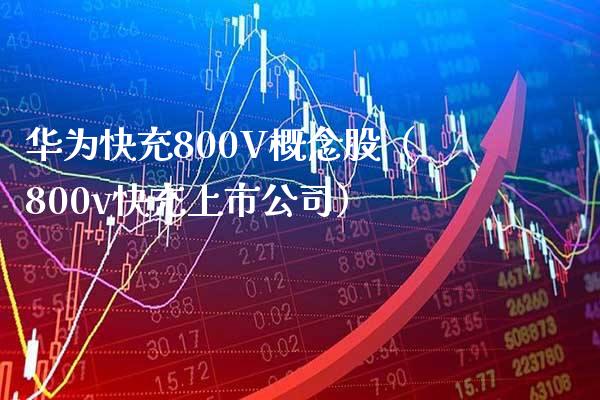 华为快充800V概念股（800v快充上市公司）_https://www.xmqjcw.com_股票投资_第1张