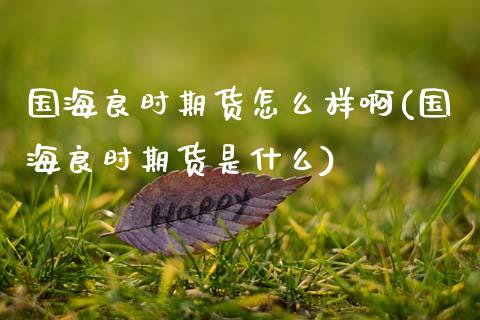 国海良时期货怎么样啊(国海良时期货是什么)_https://www.xmqjcw.com_基金理财_第1张