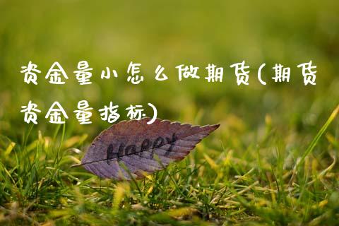 资金量小怎么做期货(期货资金量指标)_https://www.xmqjcw.com_期货百科_第1张
