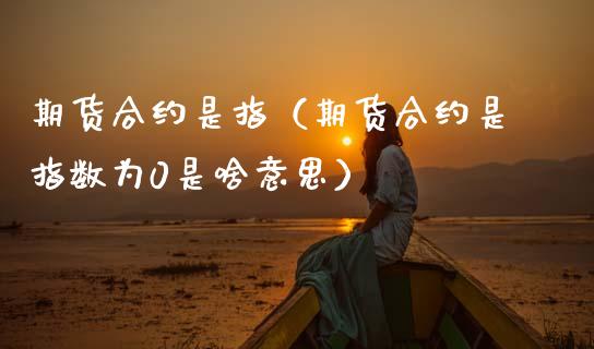 期货合约是指（期货合约是指数为0是啥意思）_https://www.xmqjcw.com_期货行情_第1张