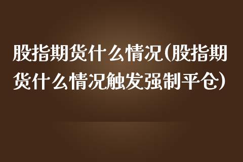 股指期货什么情况(股指期货什么情况触发强制平仓)_https://www.xmqjcw.com_期货百科_第1张