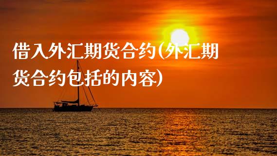 借入外汇期货合约(外汇期货合约包括的内容)_https://www.xmqjcw.com_期货直播室_第1张