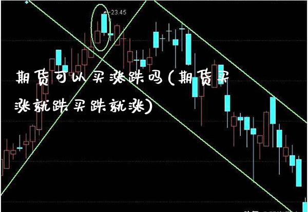 期货可以买涨跌吗(期货买涨就跌买跌就涨)_https://www.xmqjcw.com_期货百科_第1张
