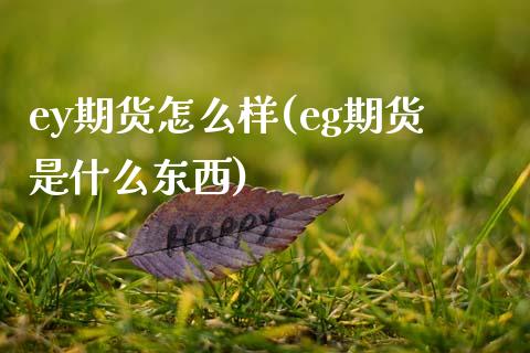 ey期货怎么样(eg期货是什么东西)_https://www.xmqjcw.com_期货百科_第1张