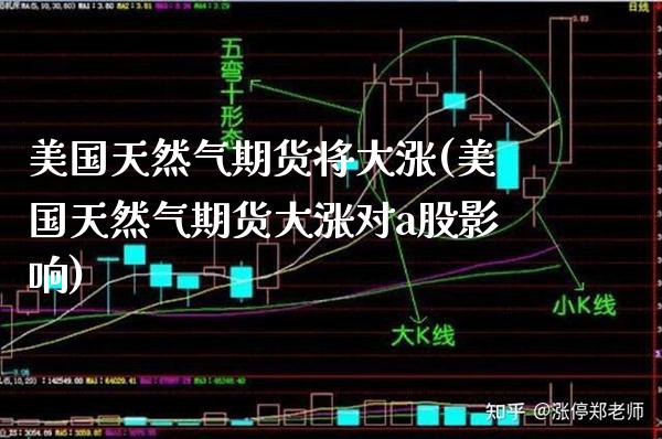 美国天然气期货将大涨(美国天然气期货大涨对a股影响)_https://www.xmqjcw.com_期货行情_第1张