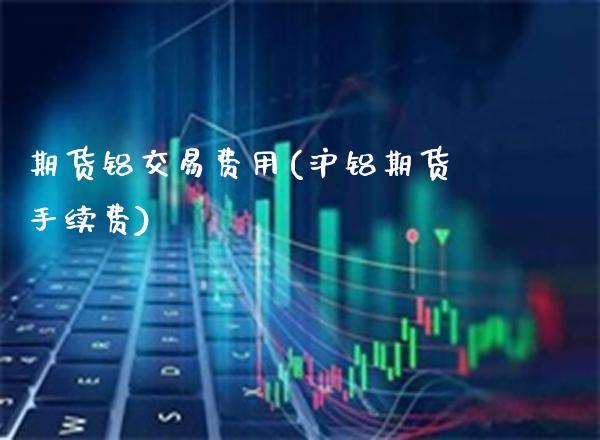 期货铝交易费用(沪铝期货手续费)_https://www.xmqjcw.com_基金理财_第1张