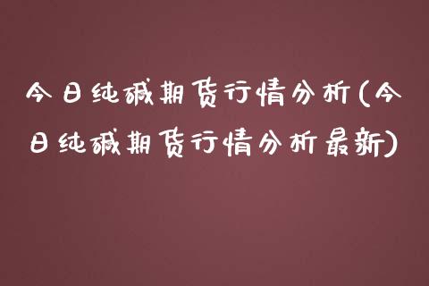 今日纯碱期货行情分析(今日纯碱期货行情分析最新)_https://www.xmqjcw.com_期货投资_第1张