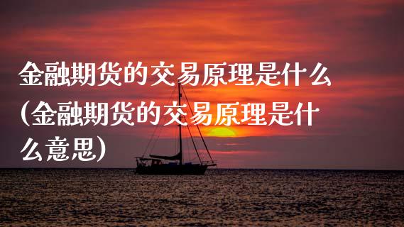 金融期货的交易原理是什么(金融期货的交易原理是什么意思)_https://www.xmqjcw.com_期货直播室_第1张