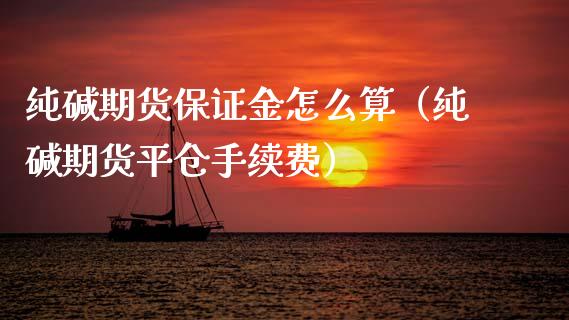 纯碱期货保证金怎么算（纯碱期货平仓手续费）_https://www.xmqjcw.com_期货投资_第1张