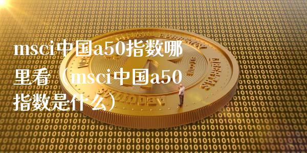 msci中国a50指数哪里看（msci中国a50指数是什么）_https://www.xmqjcw.com_期货投资_第1张