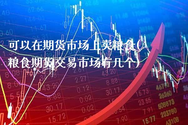 可以在期货市场上卖粮食(粮食期货交易市场有几个)_https://www.xmqjcw.com_基金理财_第1张