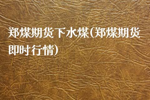 郑煤期货下水煤(郑煤期货即时行情)_https://www.xmqjcw.com_期货百科_第1张