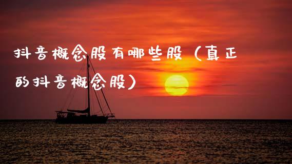 抖音概念股有哪些股（真正的抖音概念股）_https://www.xmqjcw.com_股票投资_第1张
