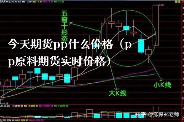 今天期货pp什么价格（pp原料期货实时价格）_https://www.xmqjcw.com_期货投资_第1张