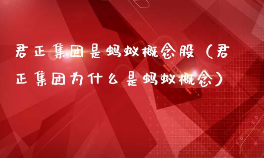 君正集团是蚂蚁概念股（君正集团为什么是蚂蚁概念）_https://www.xmqjcw.com_股票投资_第1张