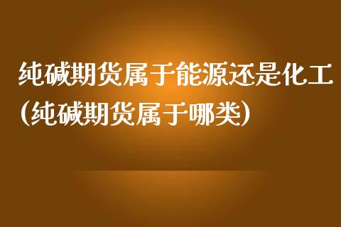 纯碱期货属于能源还是化工(纯碱期货属于哪类)_https://www.xmqjcw.com_期货百科_第1张