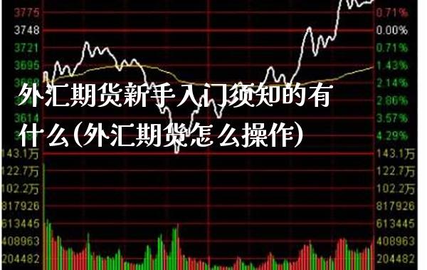 外汇期货新手入门须知的有什么(外汇期货怎么操作)_https://www.xmqjcw.com_期货开户_第1张