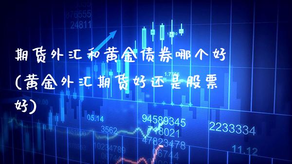 期货外汇和黄金债券哪个好(黄金外汇期货好还是股票好)_https://www.xmqjcw.com_期货百科_第1张