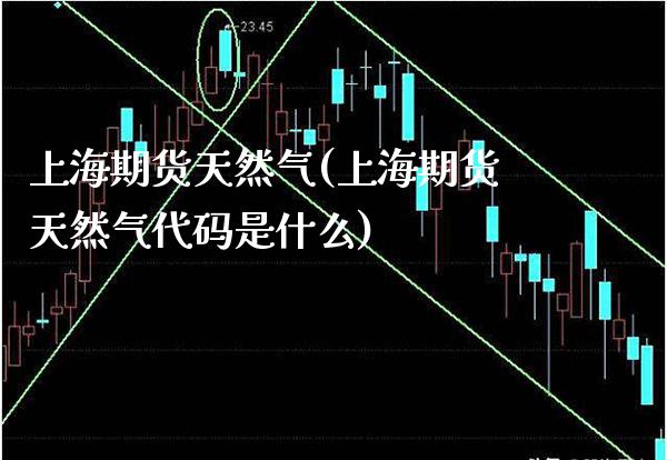 上海期货天然气(上海期货天然气代码是什么)_https://www.xmqjcw.com_期货直播室_第1张