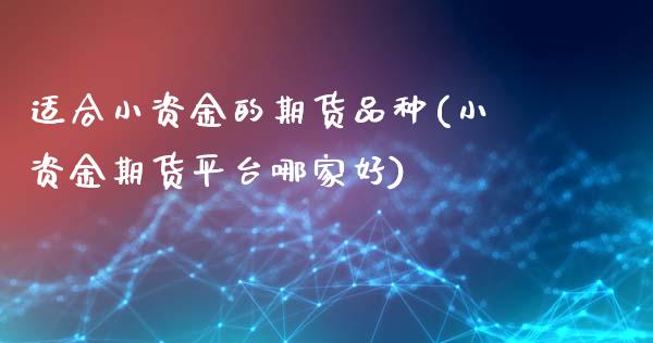 适合小资金的期货品种(小资金期货平台哪家好)_https://www.xmqjcw.com_期货投资_第1张