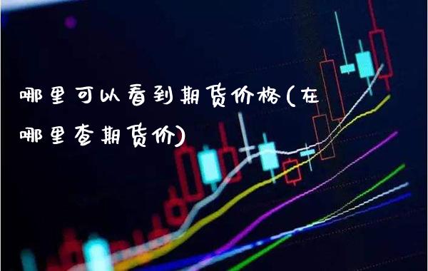哪里可以看到期货价格(在哪里查期货价)_https://www.xmqjcw.com_期货百科_第1张